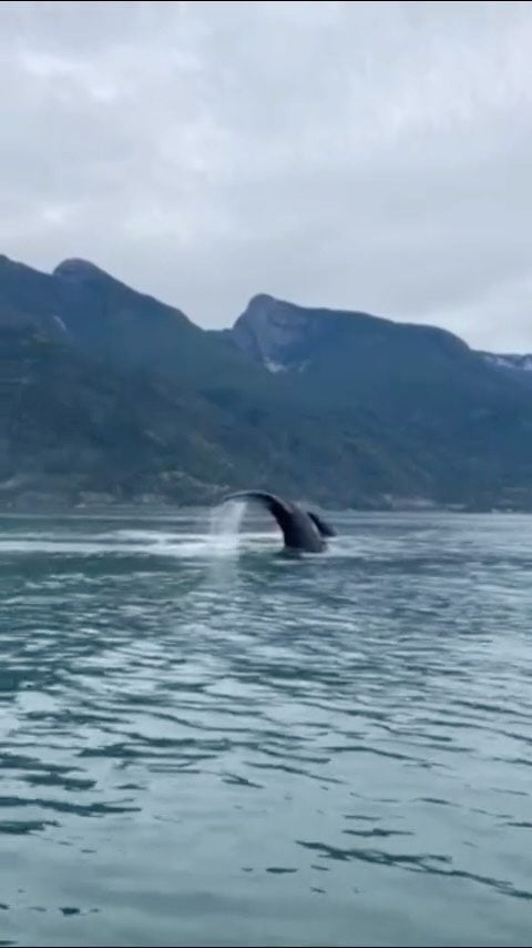 Instagram post from granvilleislandboatrentals. This post is in position 4.